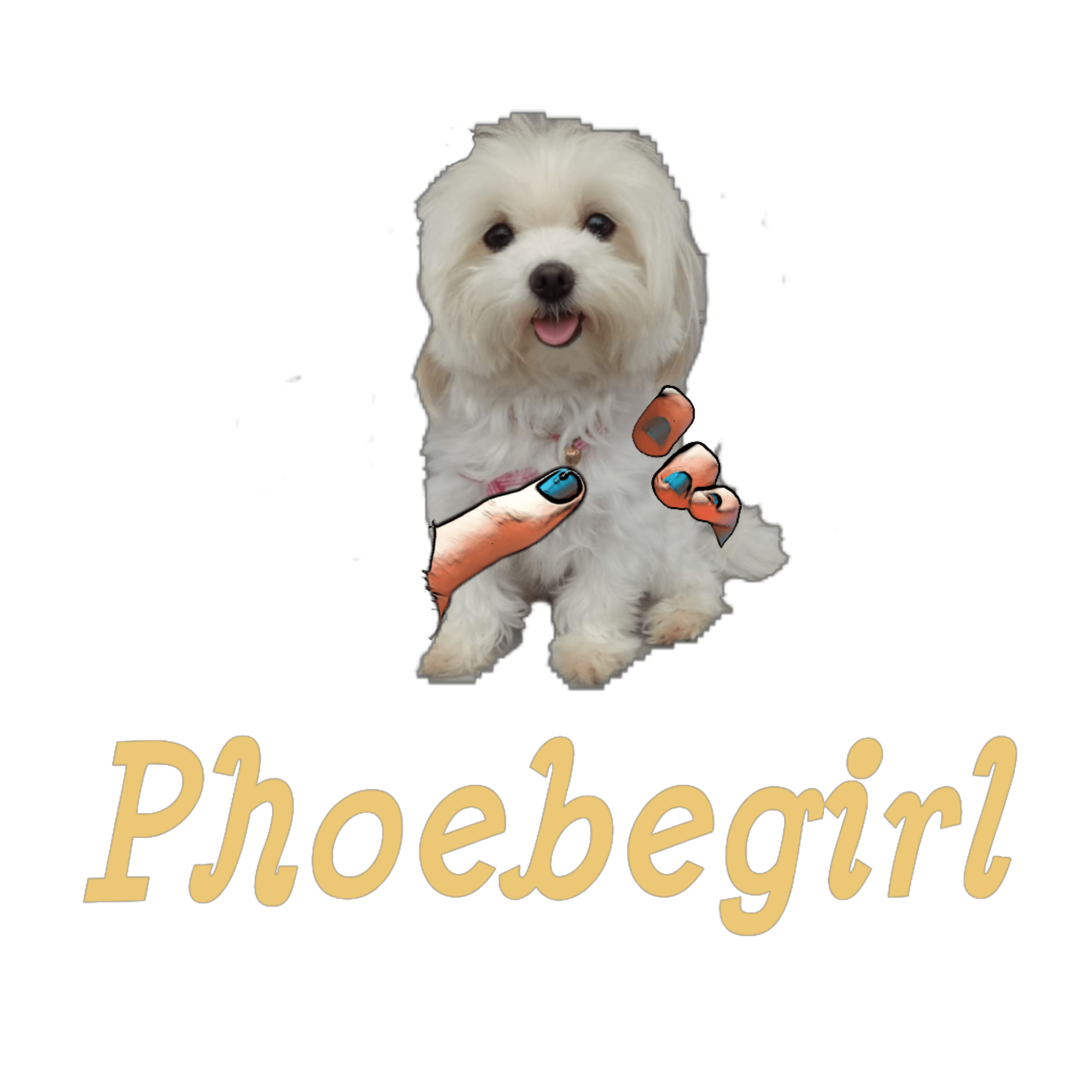 Phoebegirl 菲比女孩